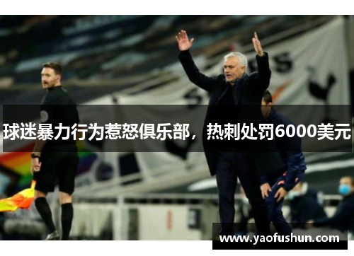 球迷暴力行为惹怒俱乐部，热刺处罚6000美元